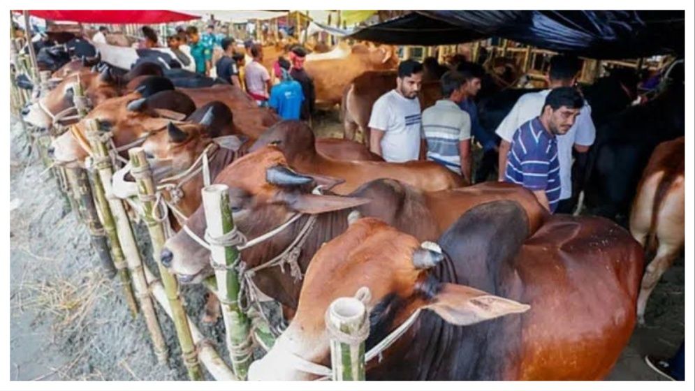 জমে উঠেছে রাজধানীর হাট