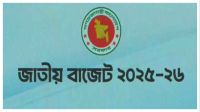 সরকারি কর্মচারীরা মহার্ঘ ভাতার বদলে বিশেষ প্রণোদনা পেতে পারেন